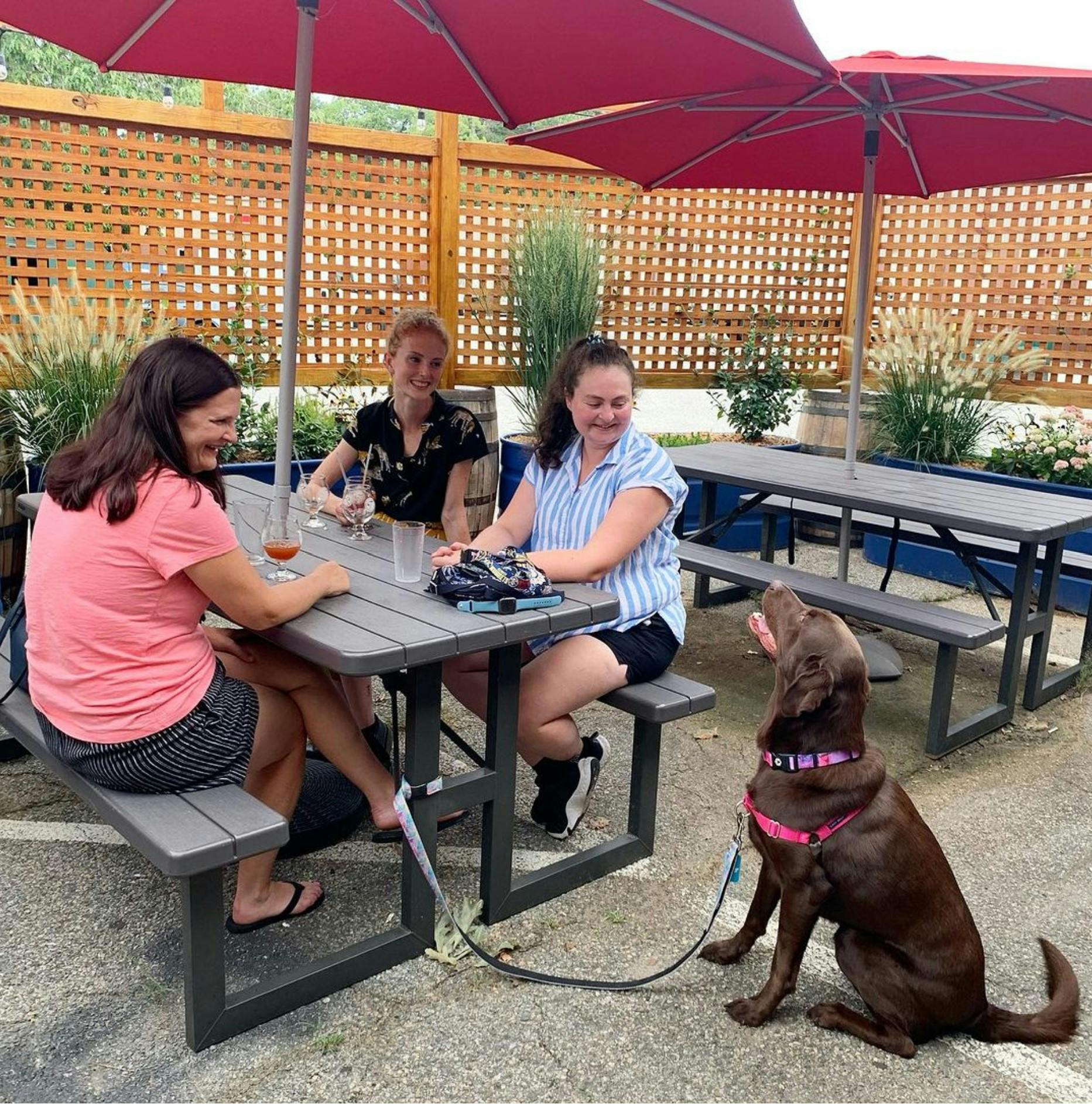 Traditional brewing taproom outside view with two people and a dog 