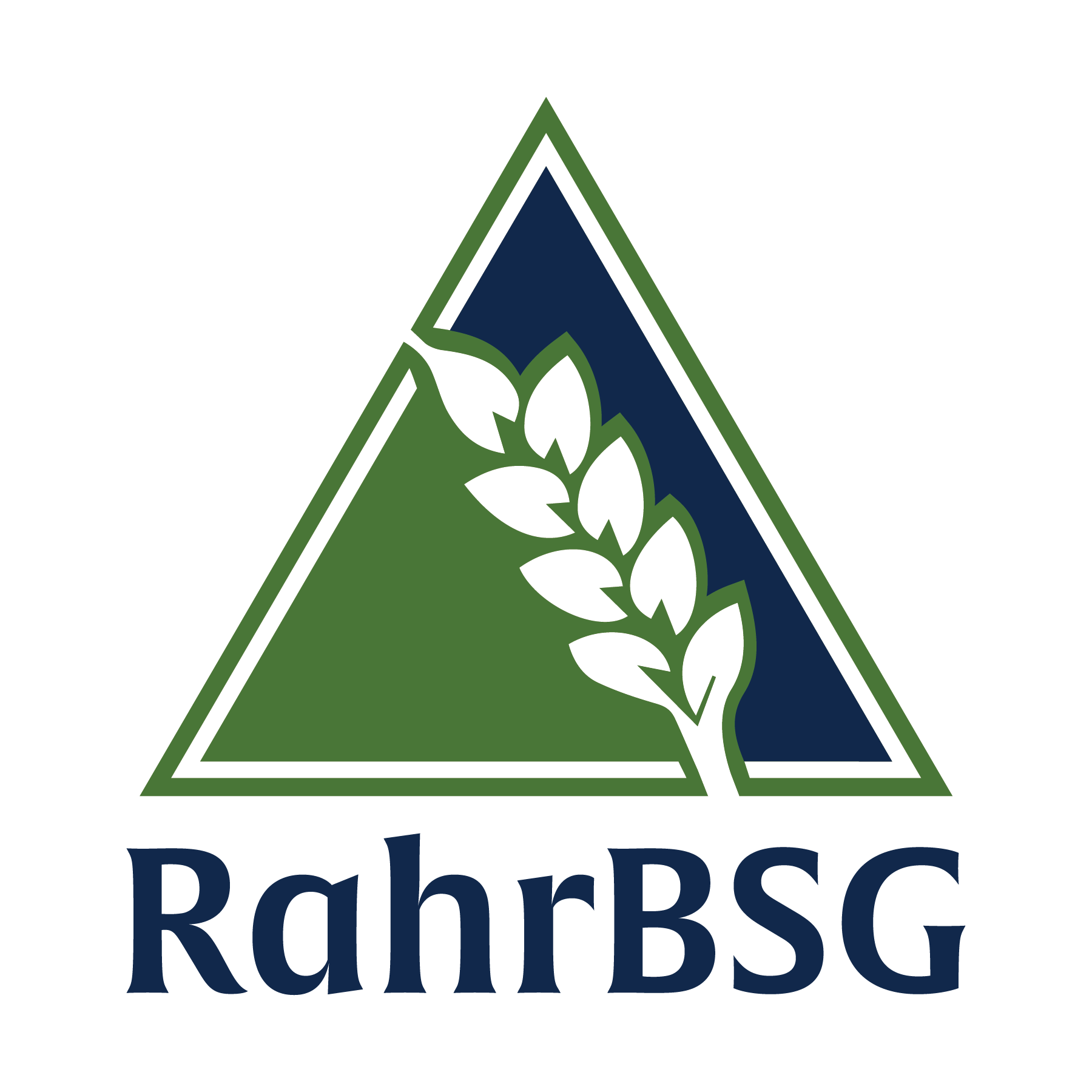 RahrBSG-PRINT-stacked-primary-01 RahrBSG-PRINT-stacked-primary-01