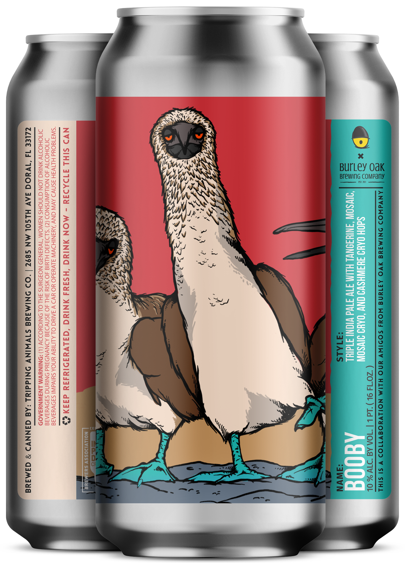 Image or graphic for Booby