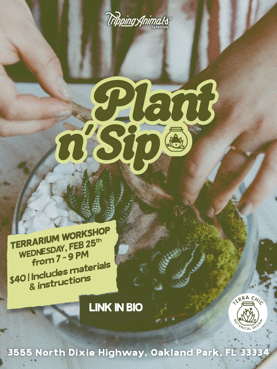 Plant n’ Sip | Classic Terrarium Workshop