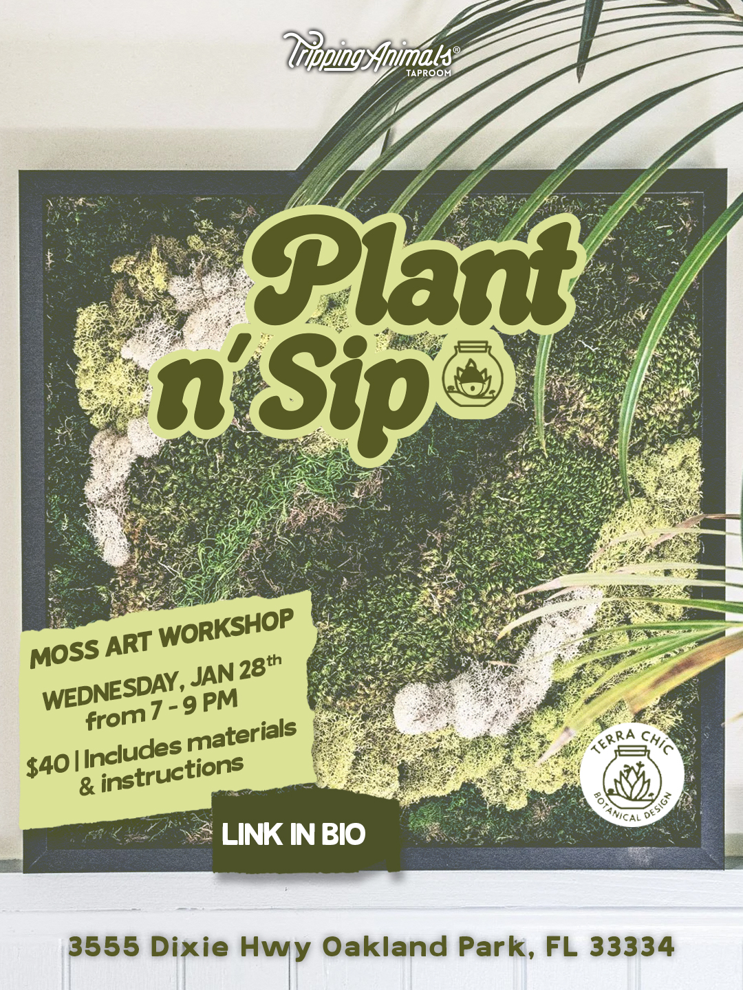 Plant n’ Sip | Moss Art Workshop