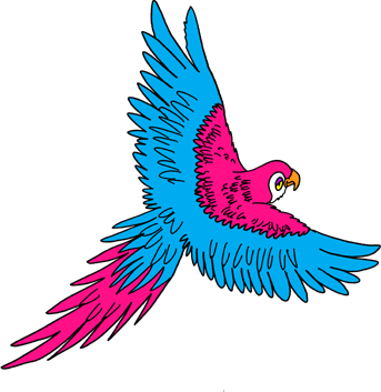 pink and blue parrot drawing