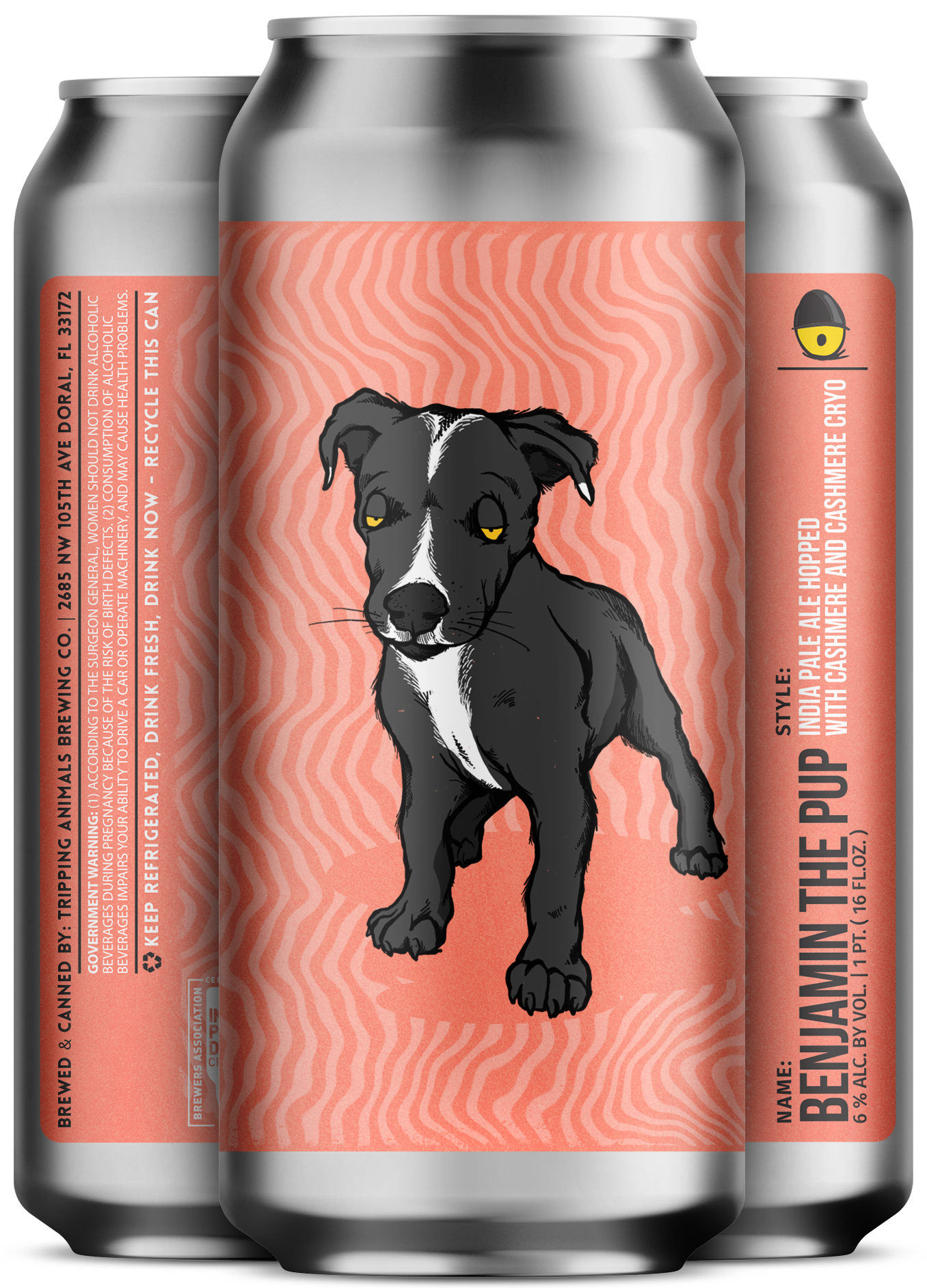 Image or graphic for Benjamin The Pup