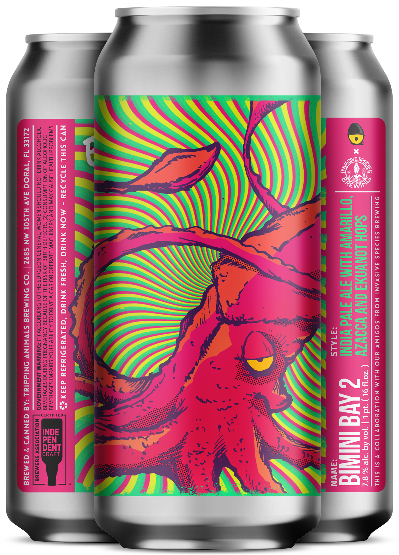 Image or graphic for Bimini Bay 2