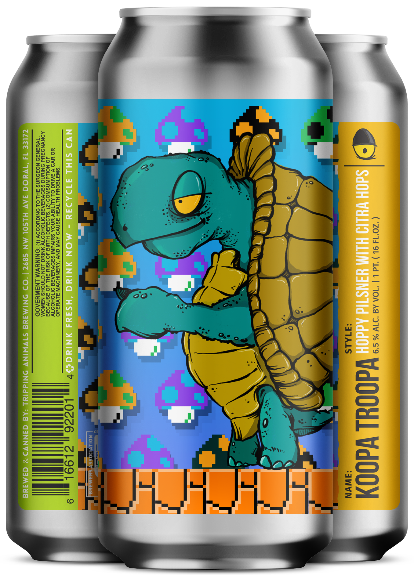 Image or graphic for Koopa Troopa