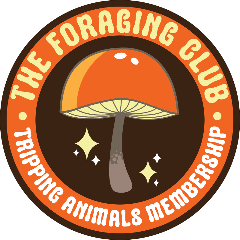The Foraging Club mushroom logo