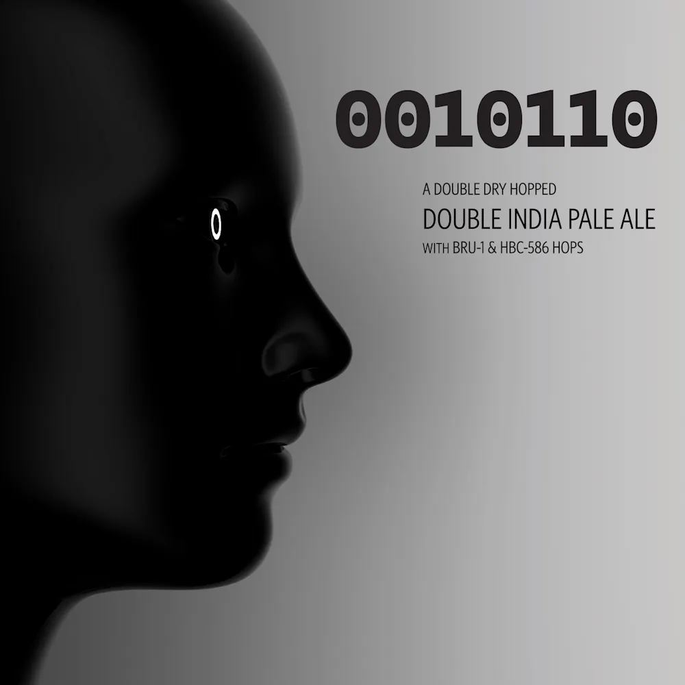 0010110 by Triptych Brewing