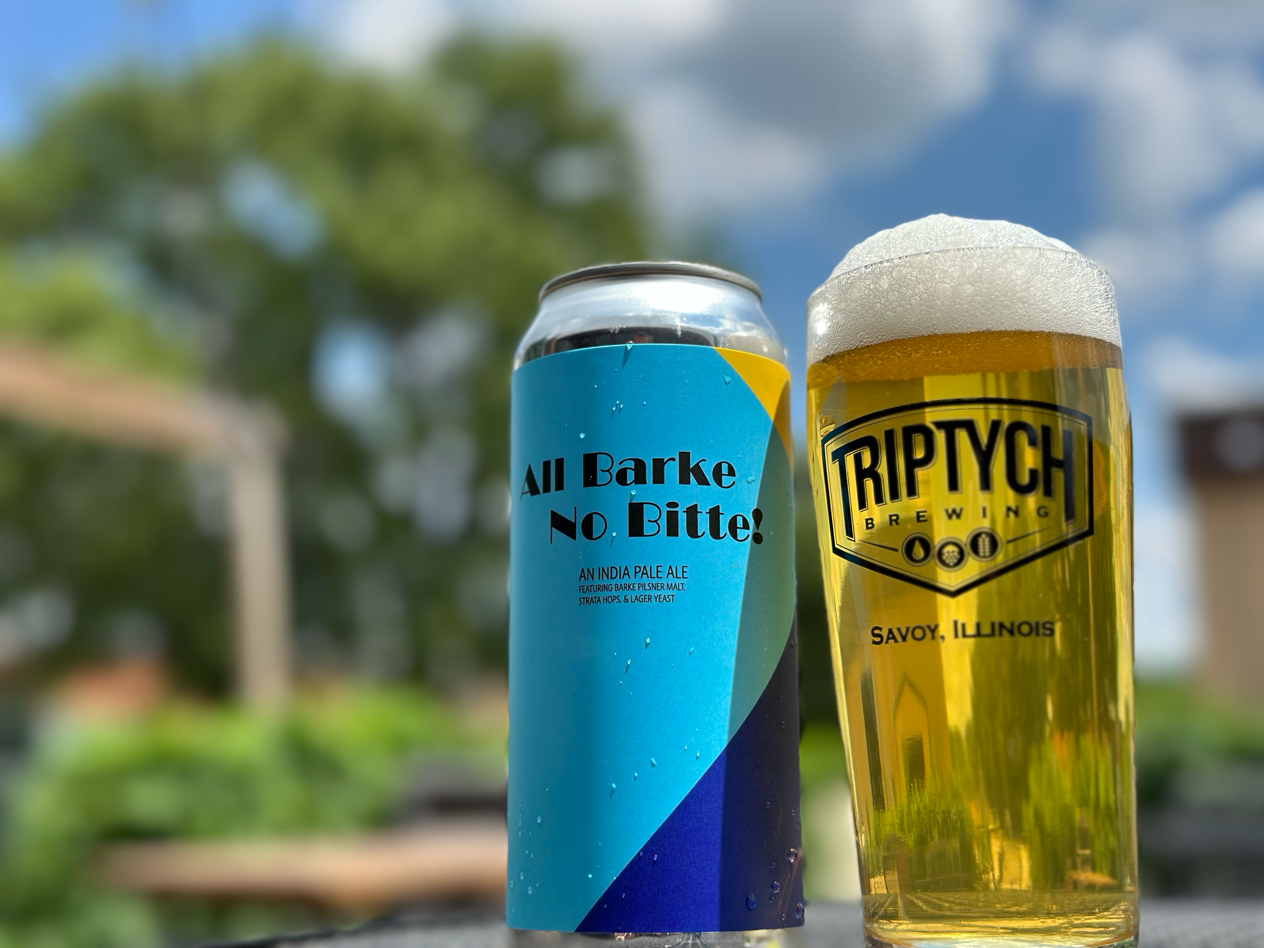 All Barke No Bitte Pour