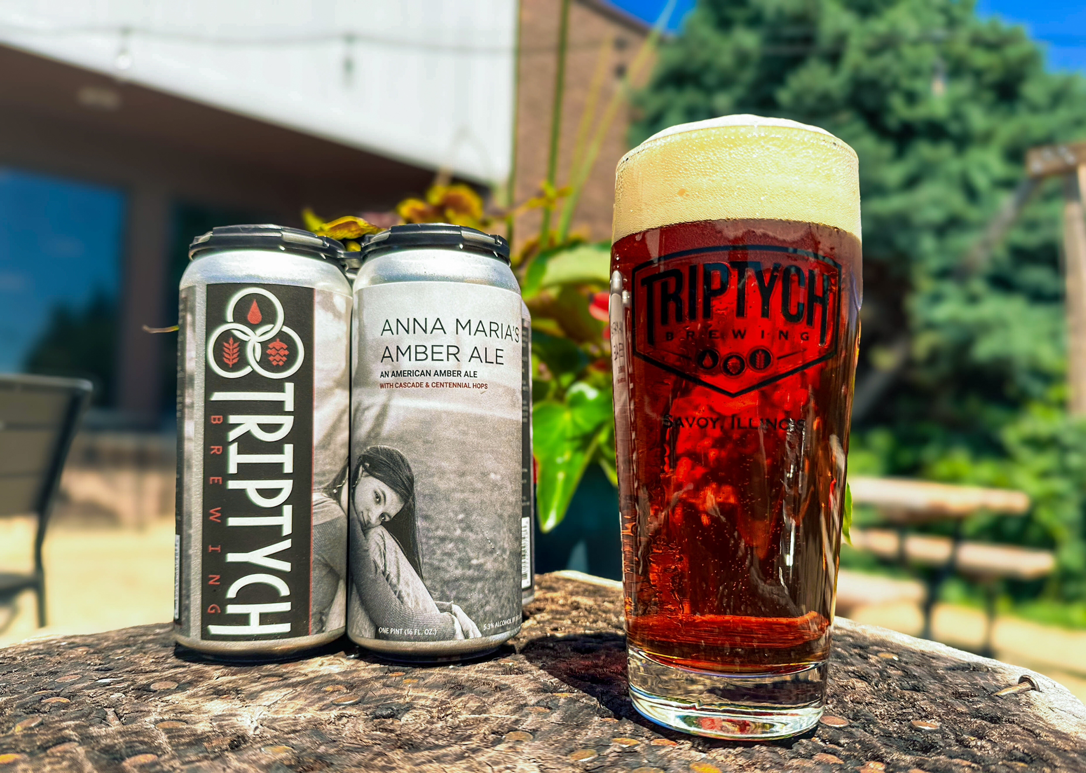 Image or graphic for Anna Maria’s Amber Ale