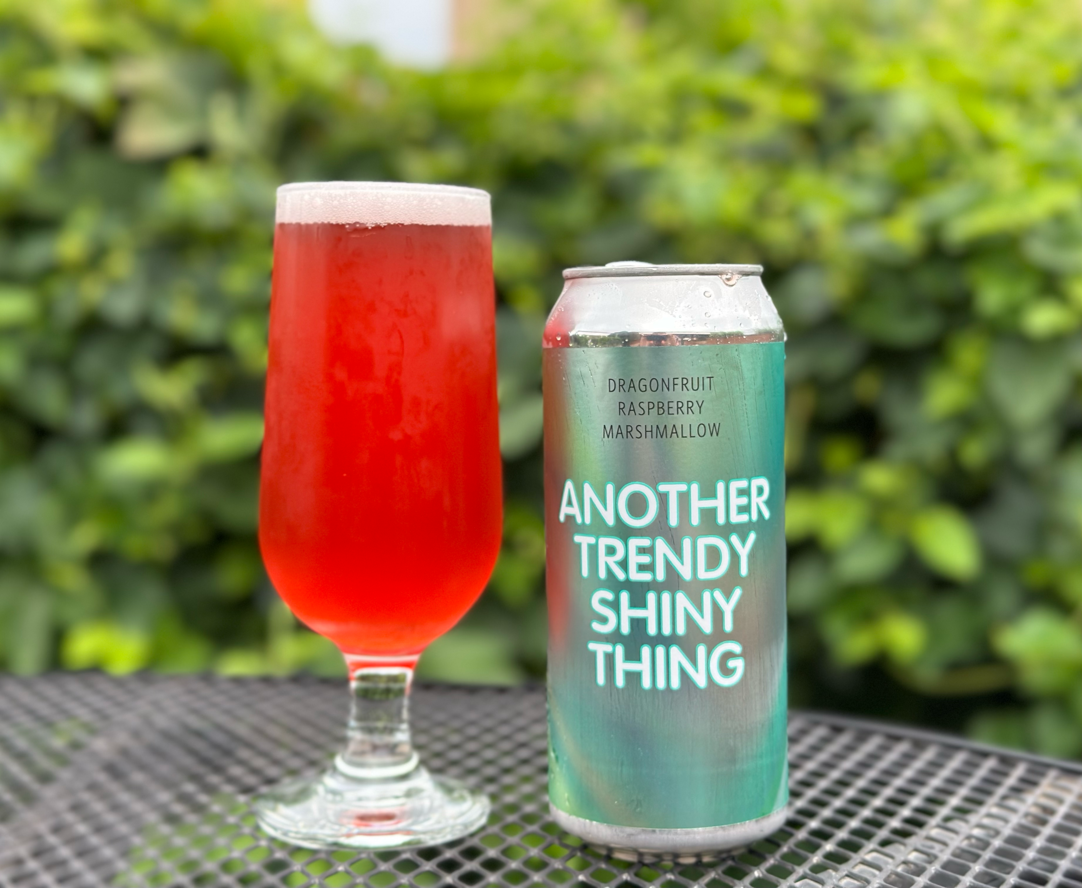 Another Trendy Shiny Thing