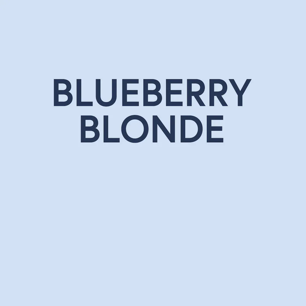 Blueberry Blonde by Triptych Brewing