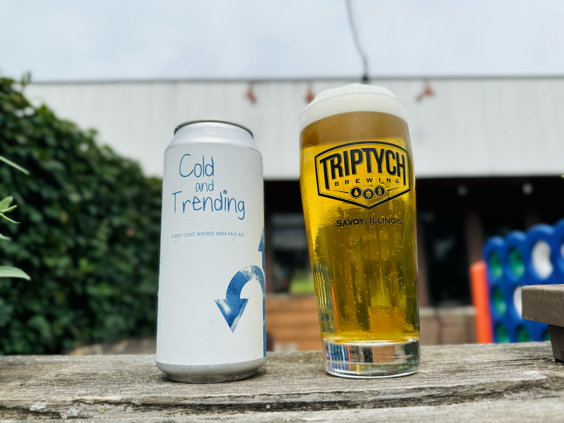 Cold & Trending Small