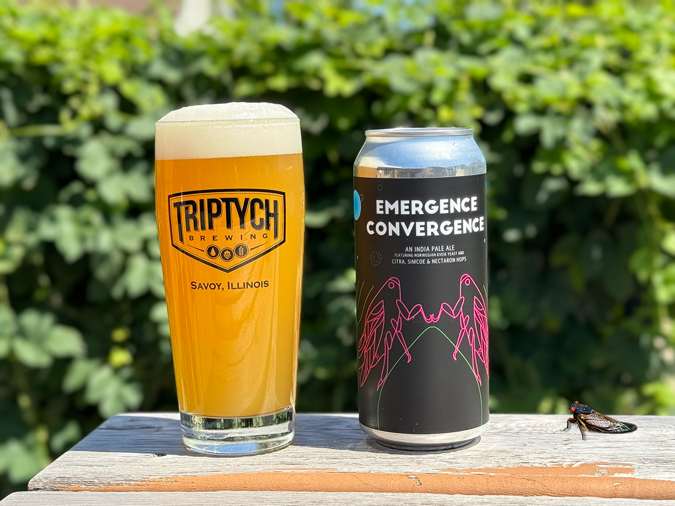 Emergence Convergence Small