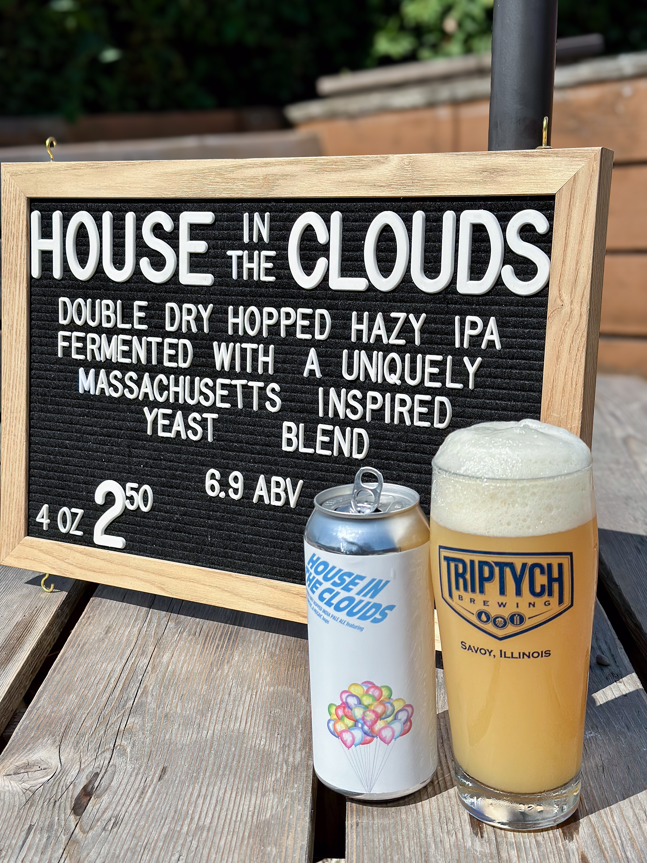 HouseInTheClouds2025