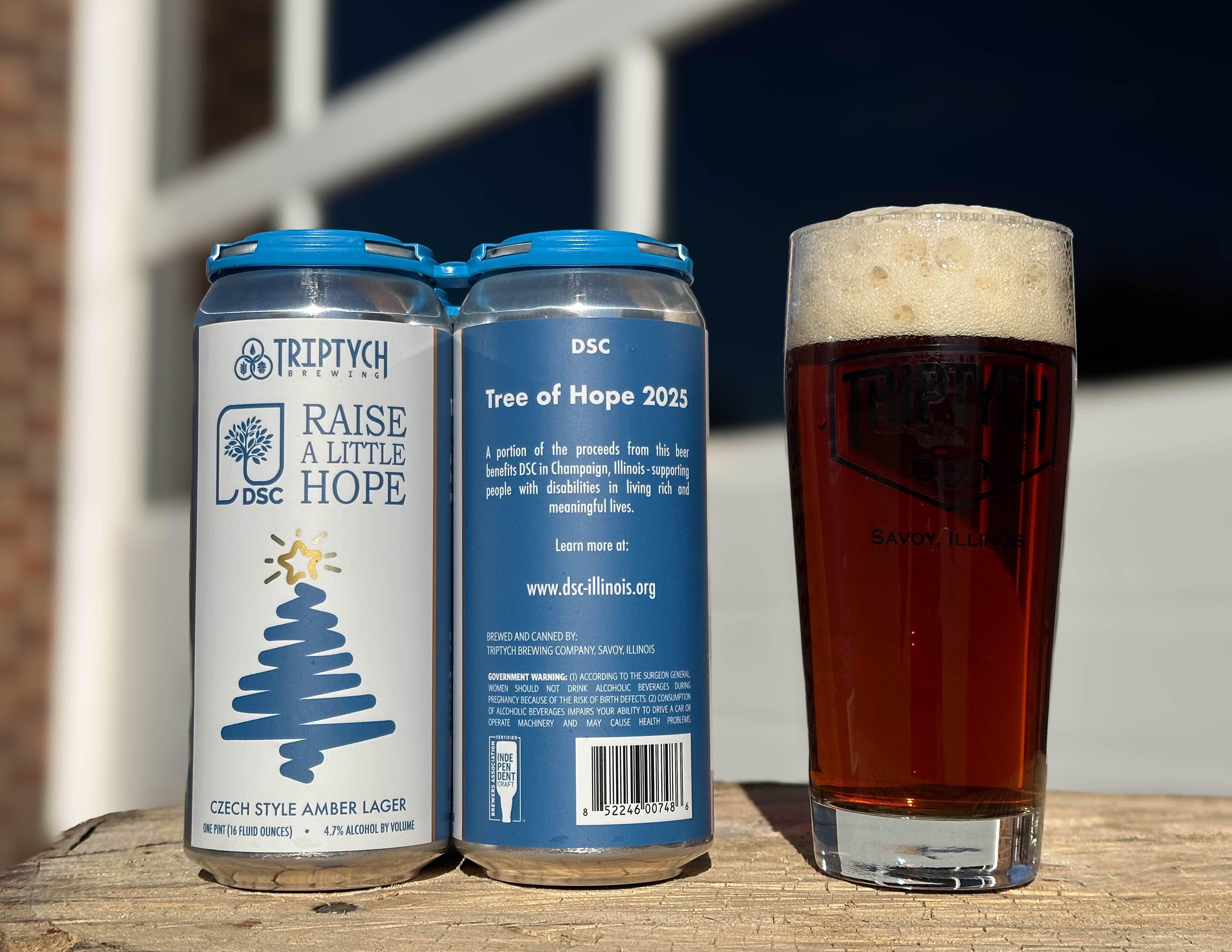 Image or graphic for Raise A Little Hope