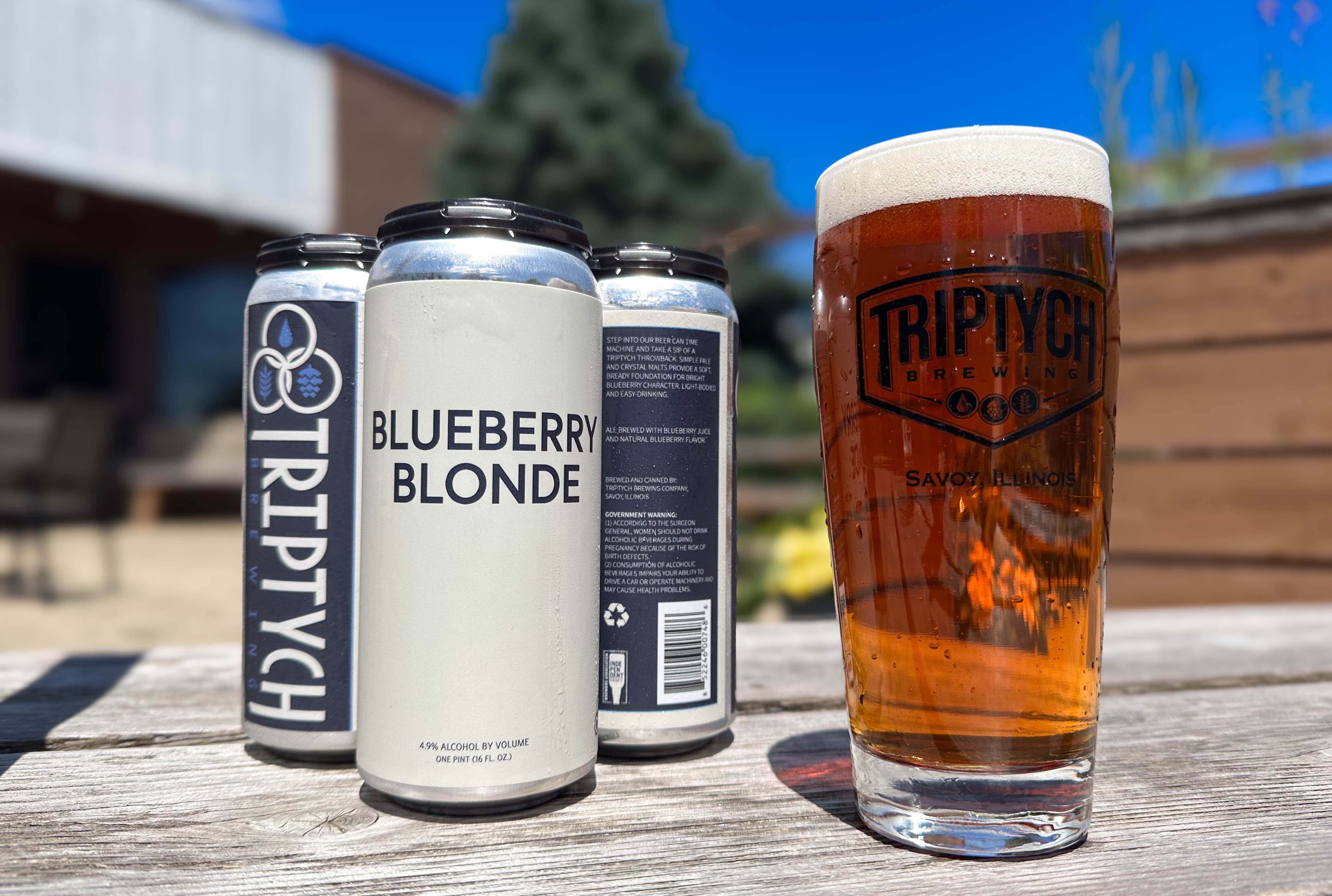 Image or graphic for Blueberry Blonde