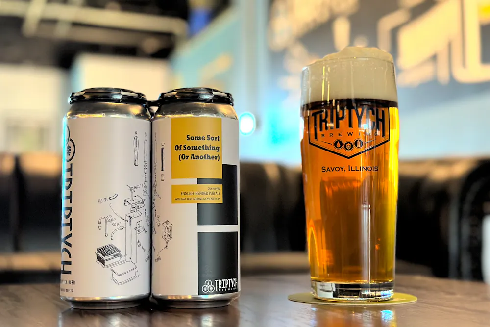 Some Sort of Something (or Another) by Triptych Brewing