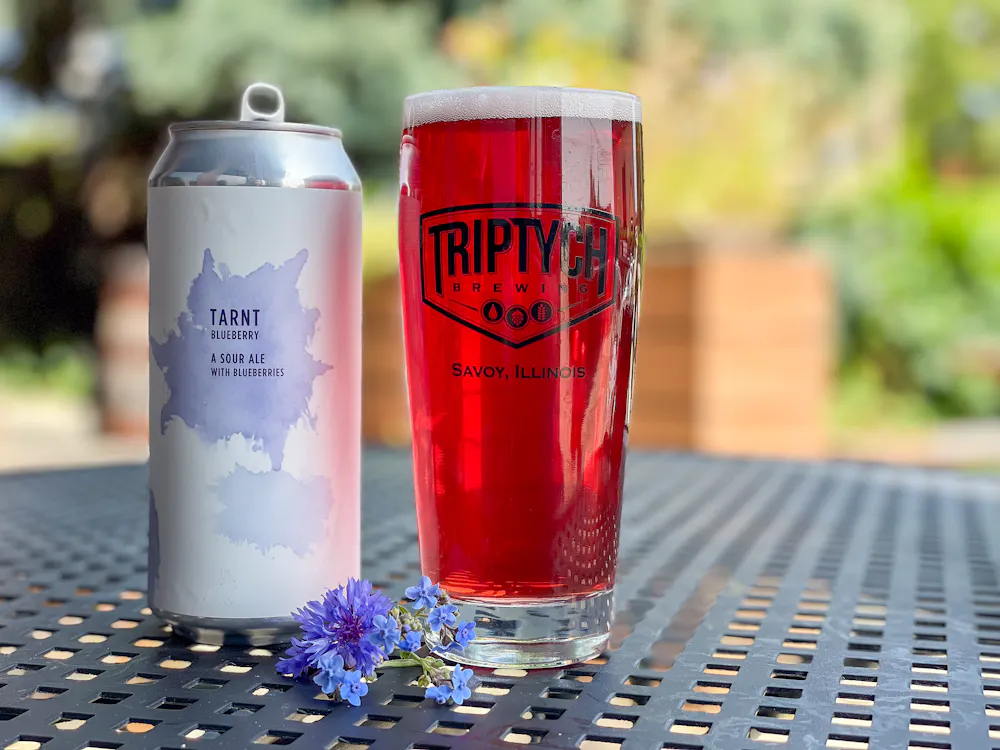 Tarnt: Blueberry by Triptych Brewing