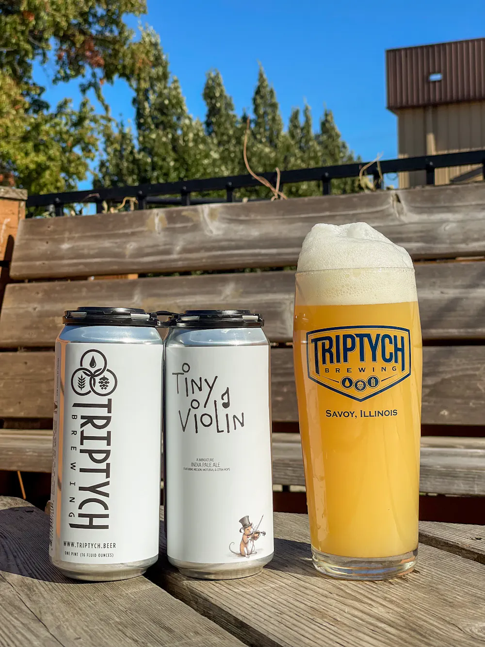Tiny Violin by Triptych Brewing