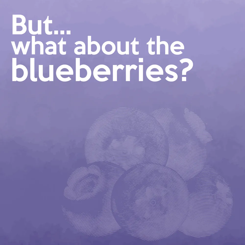 But... What About The Blueberries? by Triptych Brewing