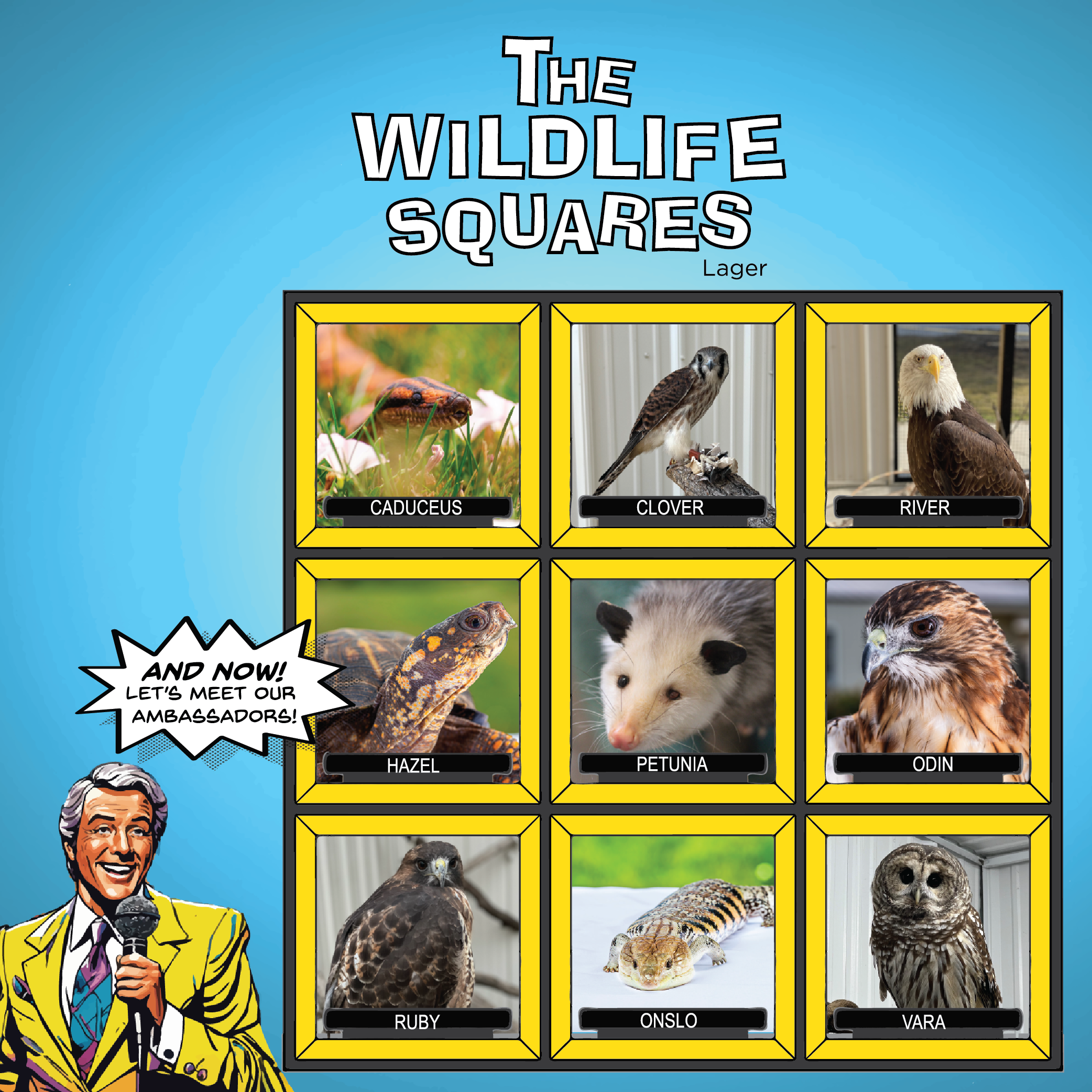 Image or graphic for The Wildlife Squares