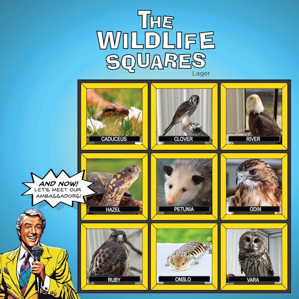 Label for The Wildlife Squares