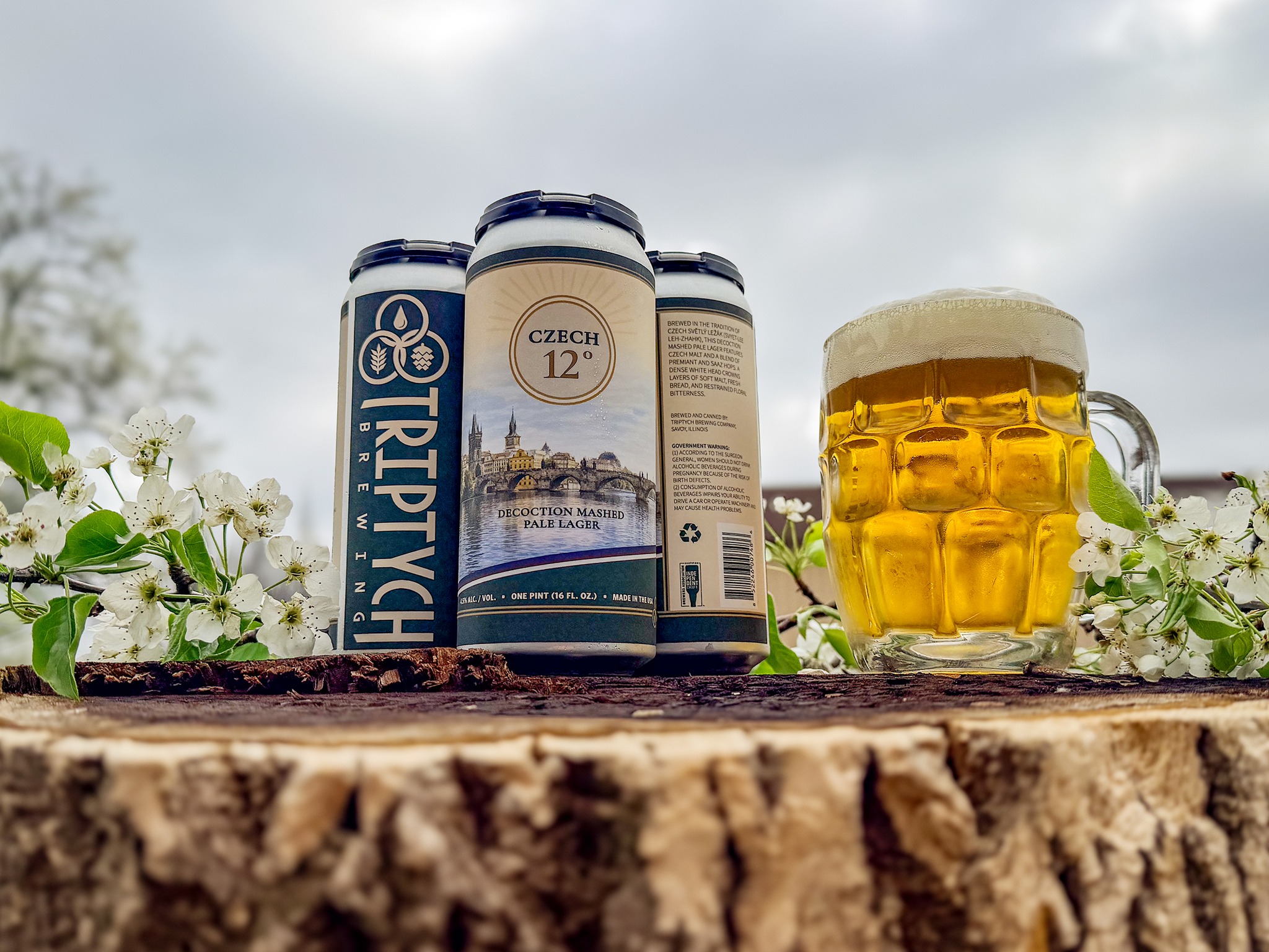 Image or graphic for Czech 12°