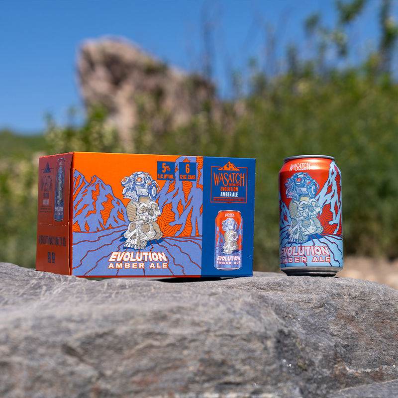 Evolution Package 800x800