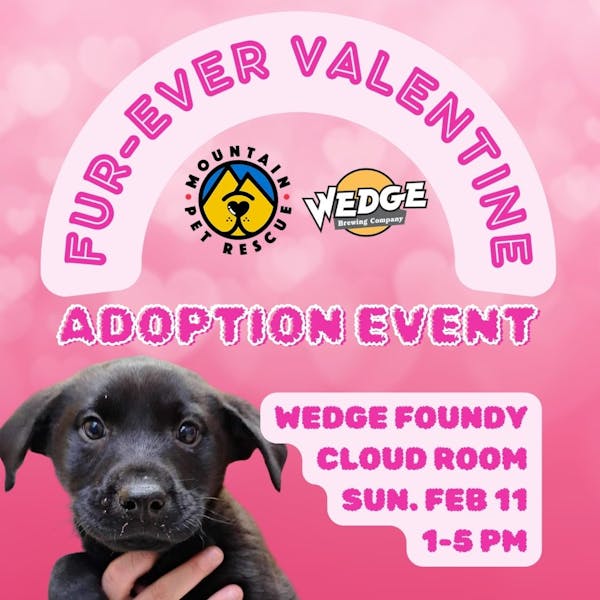 Fur-ever Valentine Adoption Event