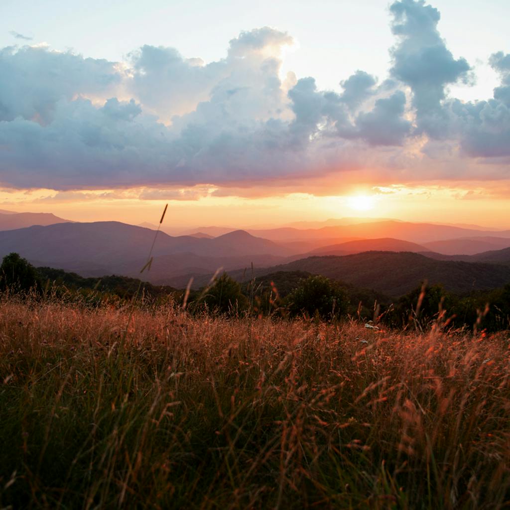 DSC_0874YMK_C DSC_0874YMK_C