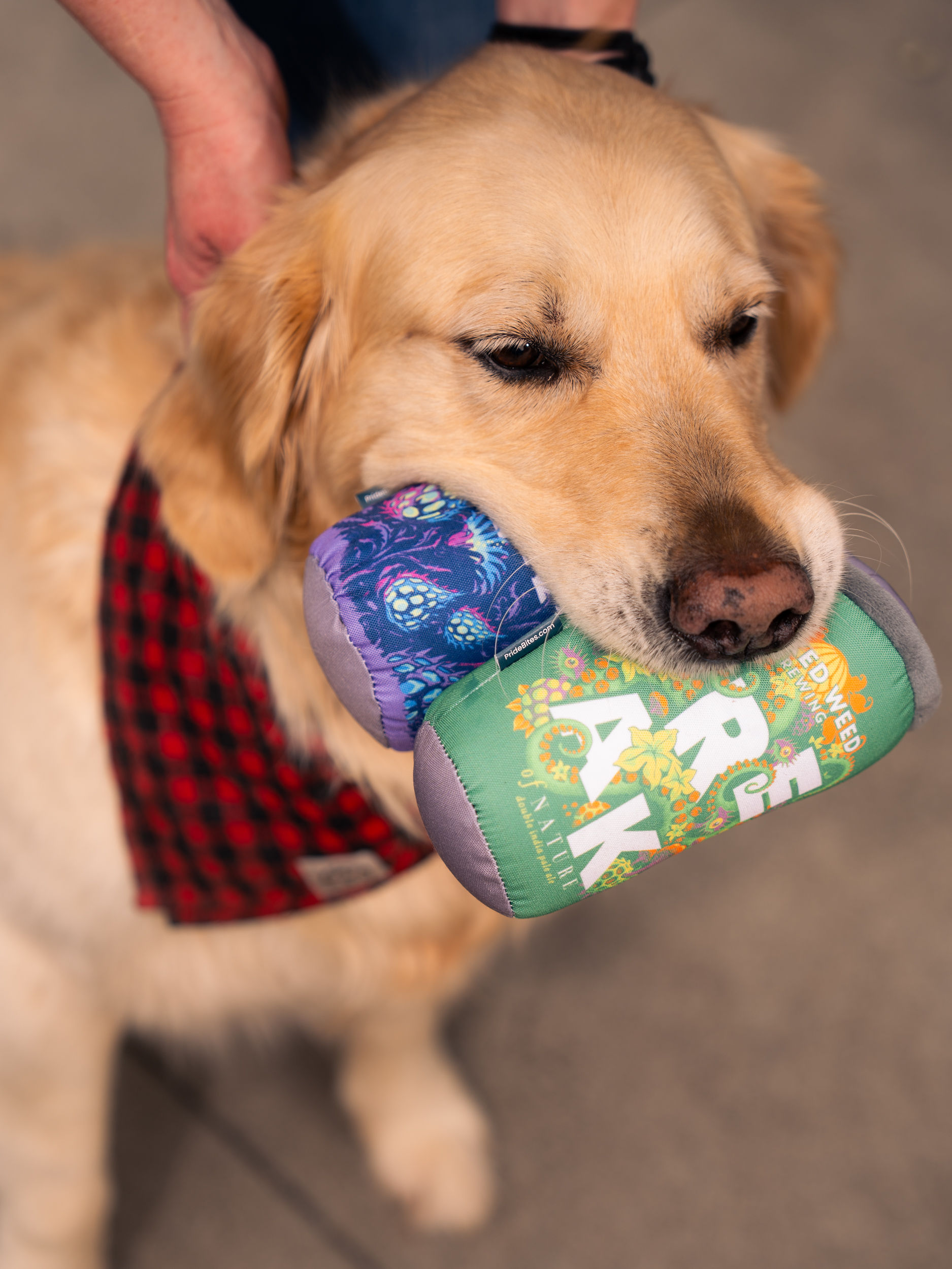 EPRipley_240504_37463