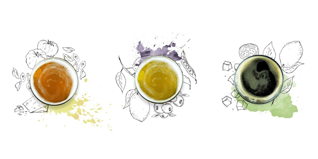 PairingNightWeb6 PairingNightWeb6