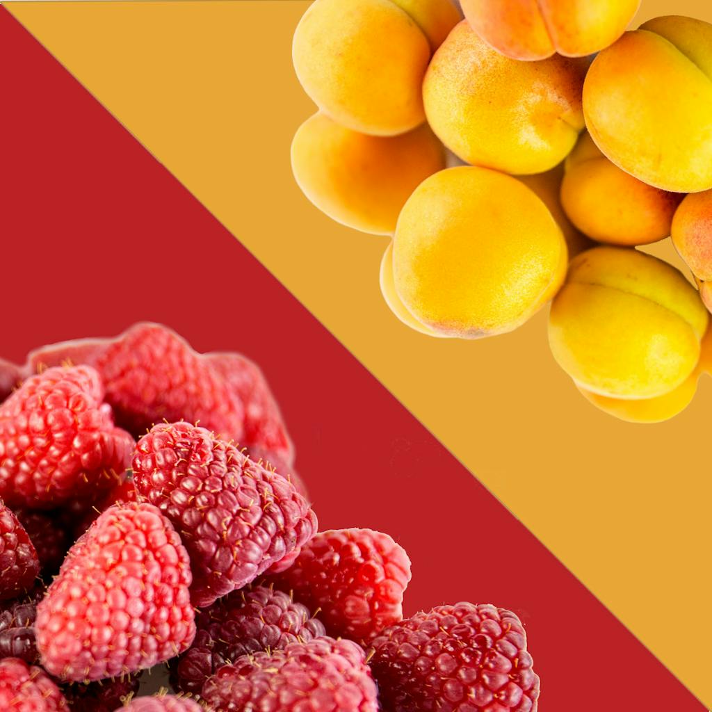 RedvsGolden RedvsGolden