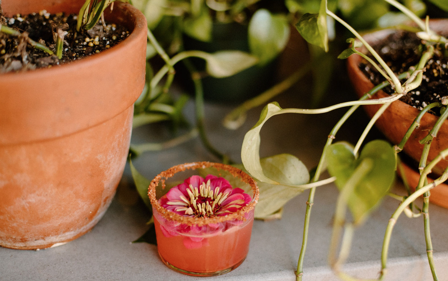 Screen Shot 2021-10-07 at 10.40.04 AM