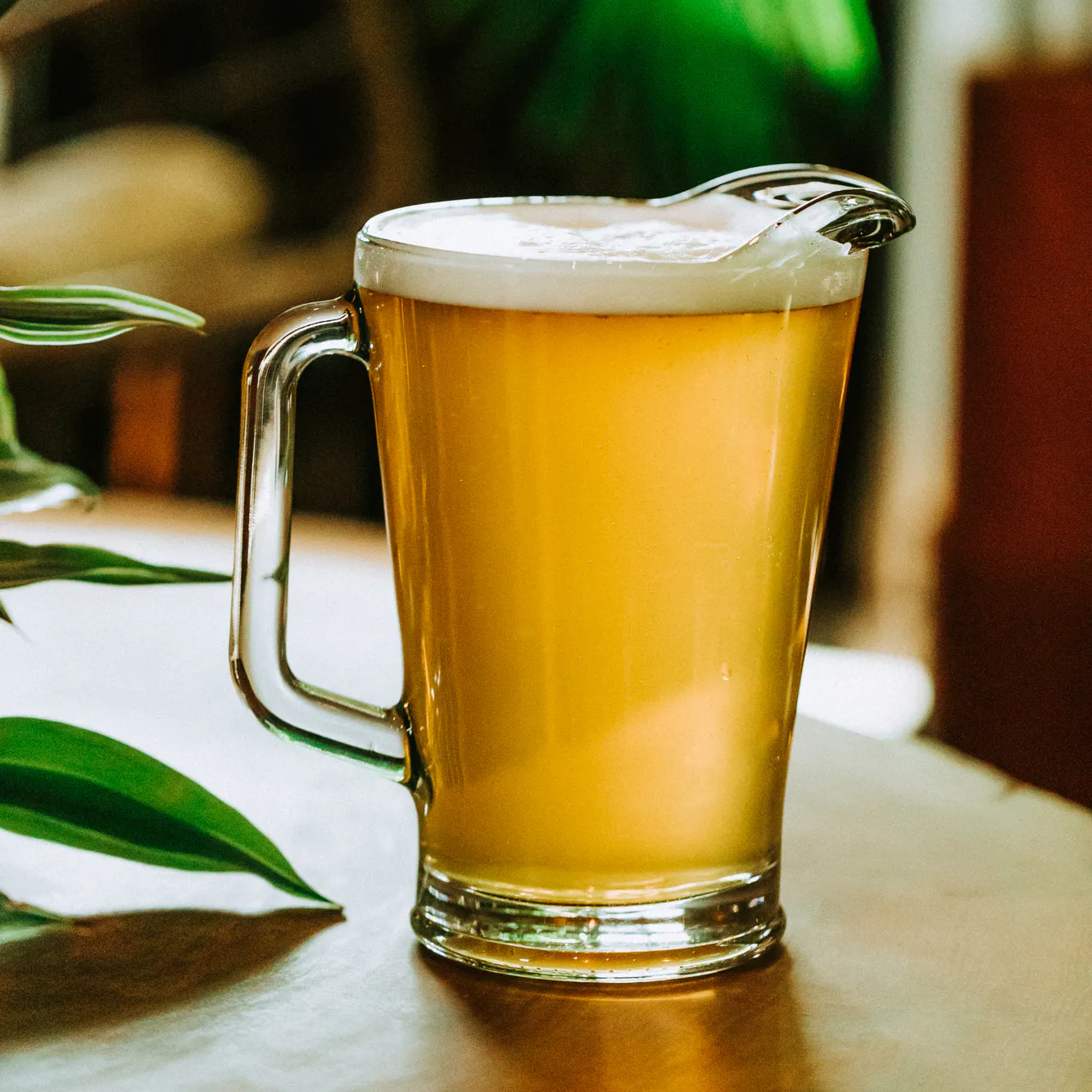 $12 Pitchers at Wicked Weed West | Wicked Weed Brewing