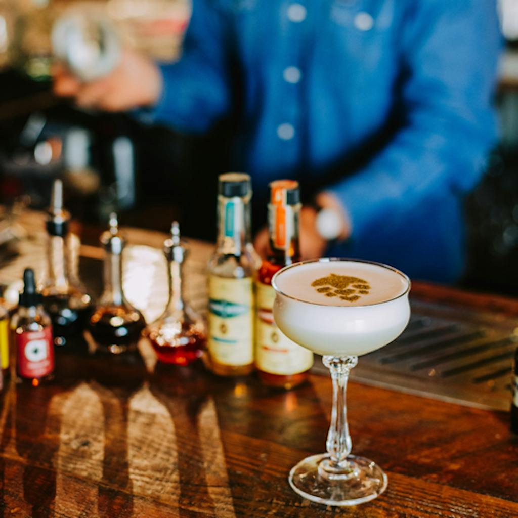 cocktail cocktail