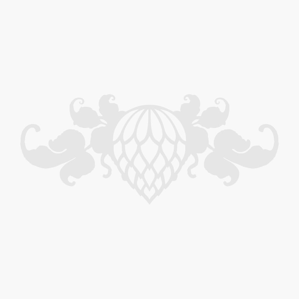 2020 Made in the South Awards, Garden & Gun Magazine