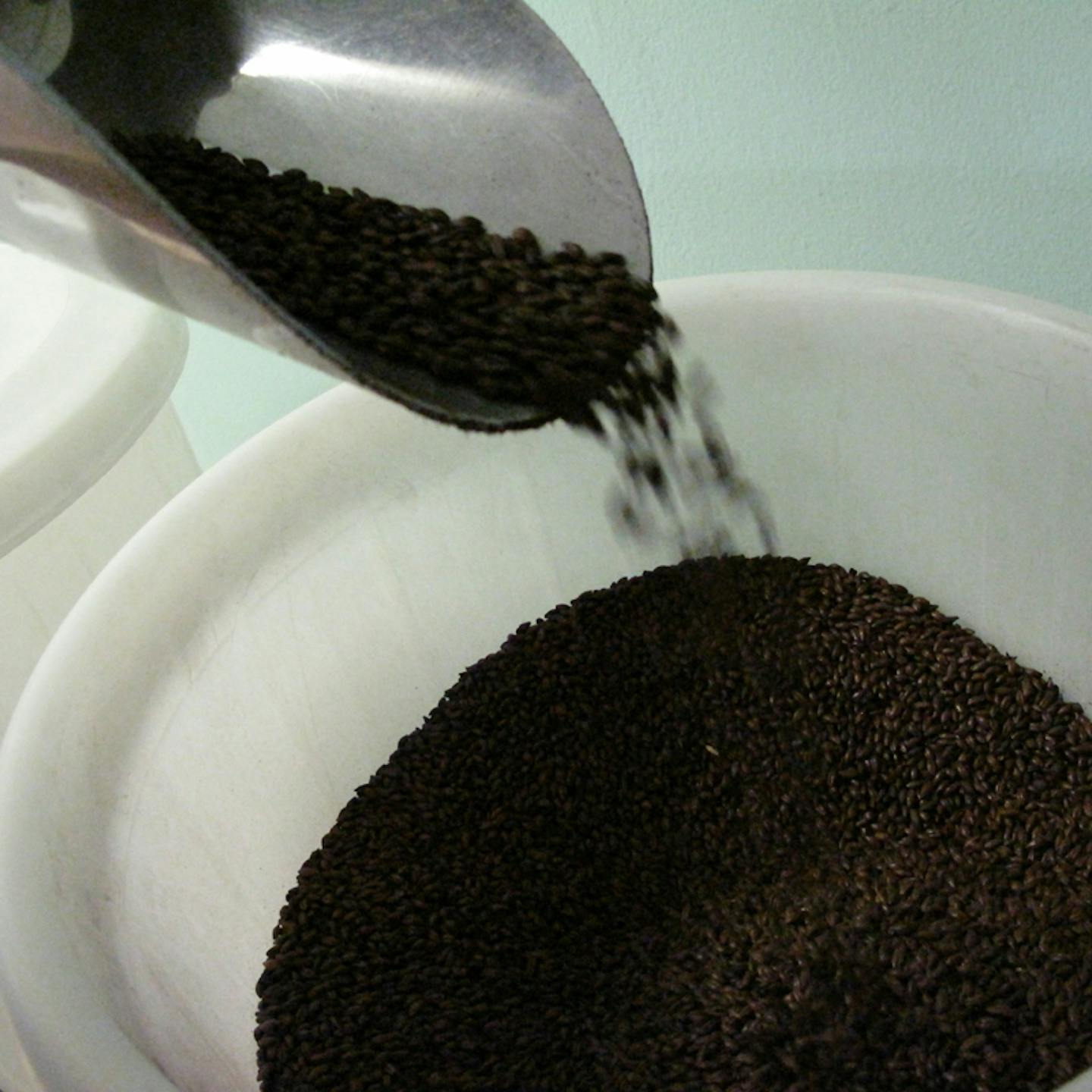 GrainPageImage GrainPageImage