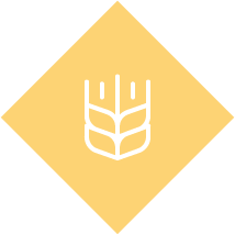 home-wheat-icon