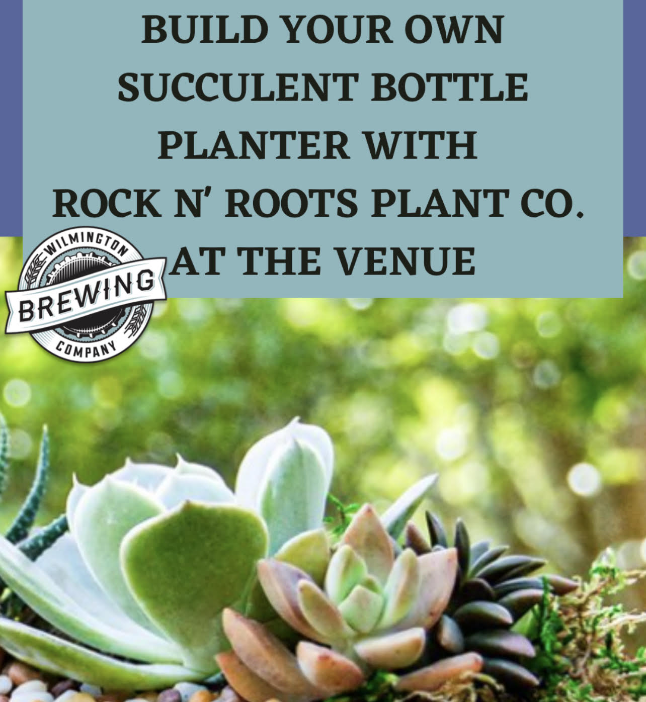 Build Your Own Succulent Bottle Planter!