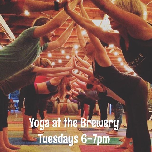 Donation Based Yoga at the Brewery!