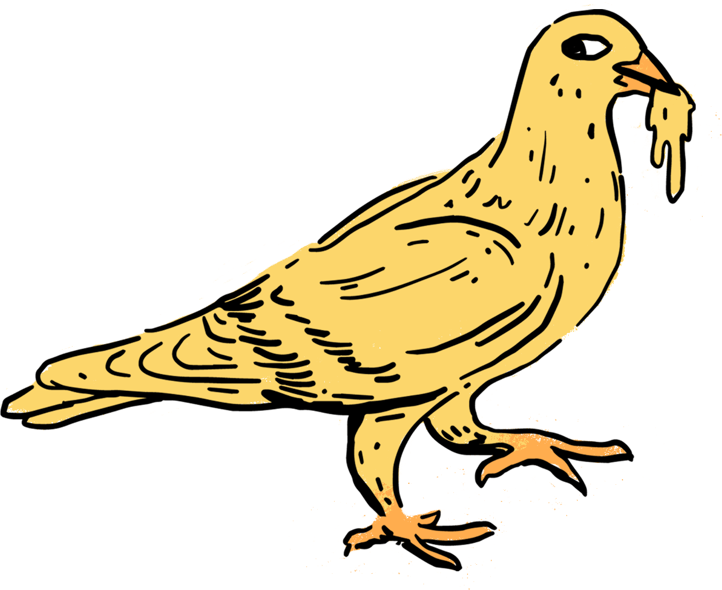 bird bird