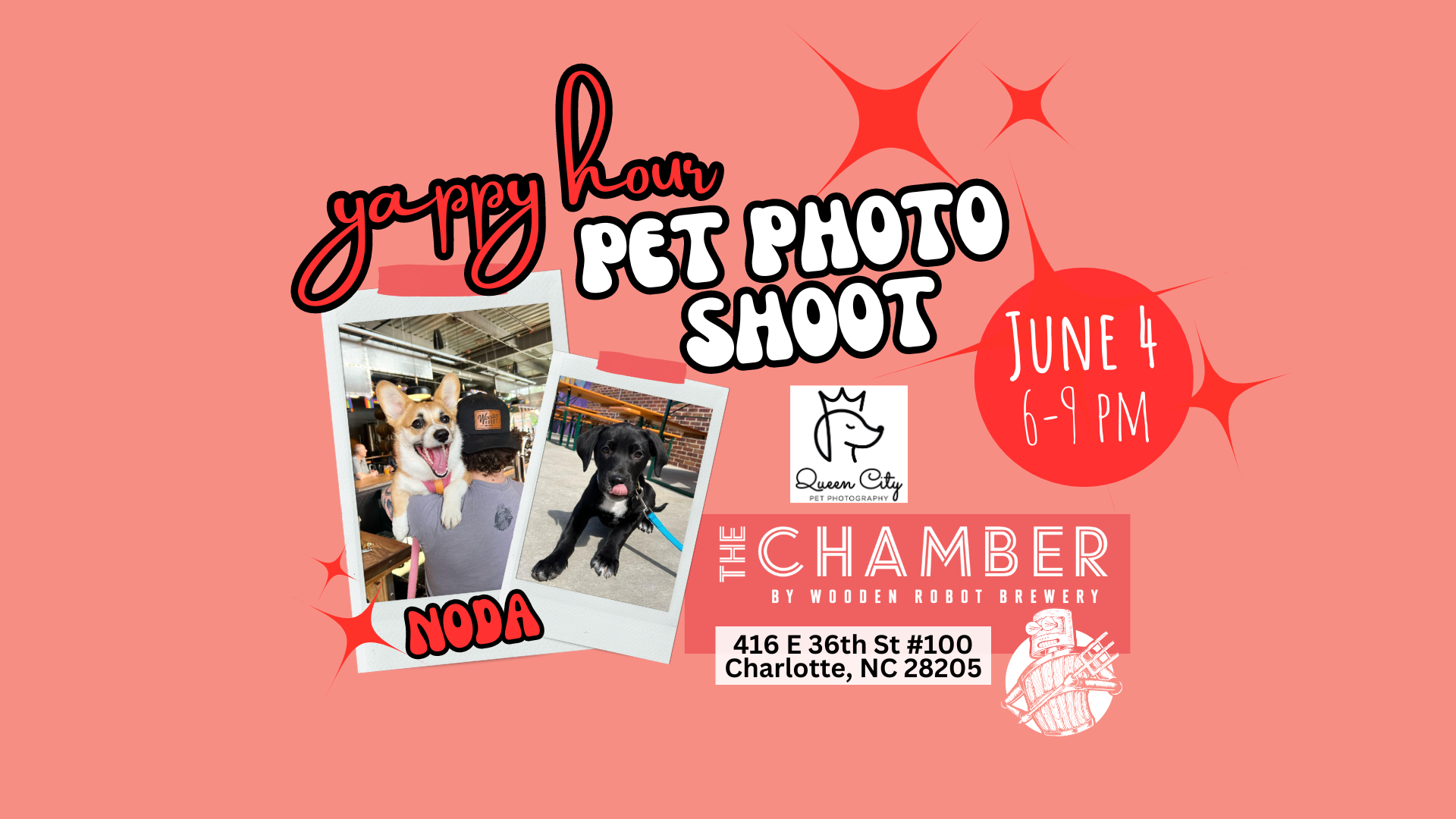 Pet Portraits Yappy Hour