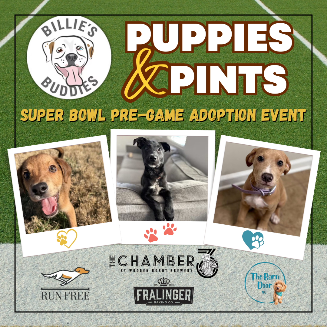 Puppies & Pints Super Bowl Pregame – NoDa
